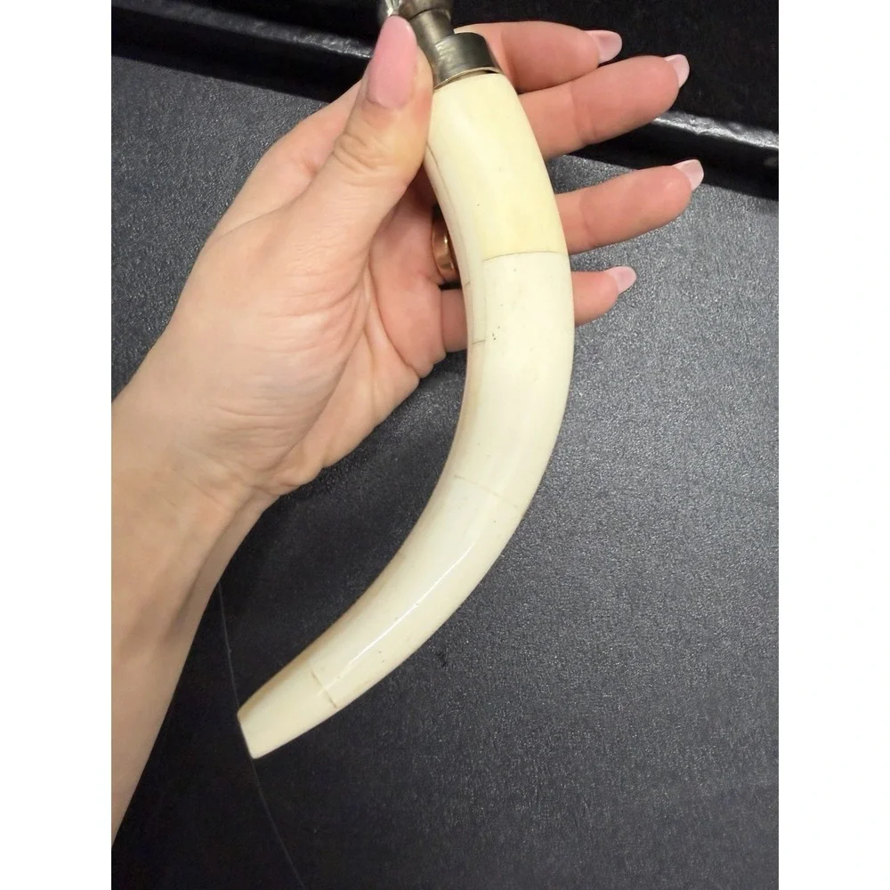 Vintage Tusk Style Handle Magnifying Glass Desk‎ Decor w/ Case